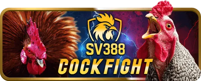 Hướng dẫn khắc phục sự cố ibet login